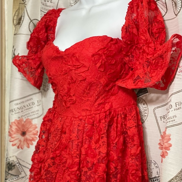 Red Lace Dress for Valentines or that special date - Picture 4 of 12